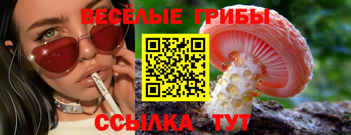Чусовой  Псилоцибиновые грибы Cubensis  хочу   Вход с VPN 